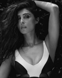 Pernia Qureshi